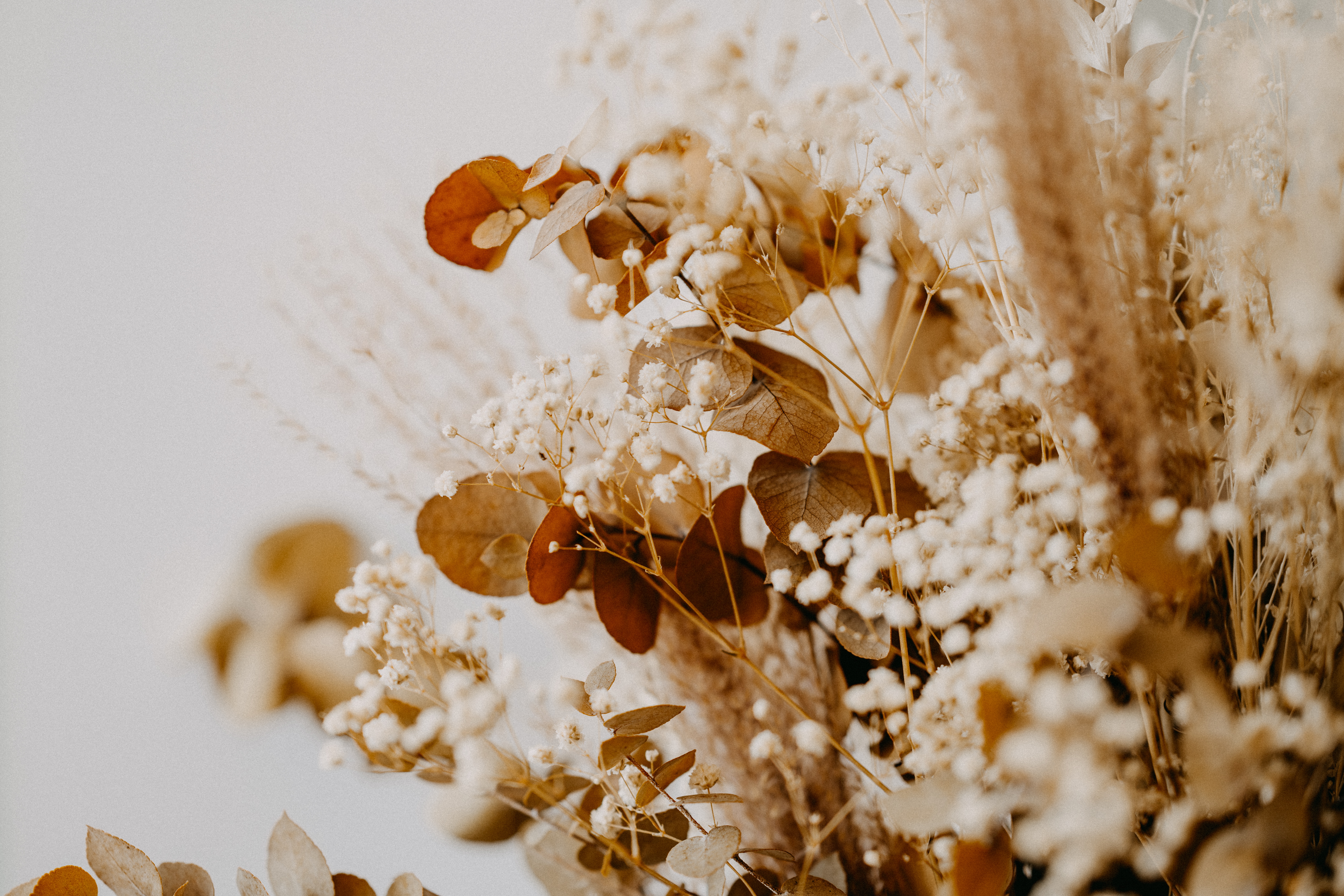 Dekorieren mit Trockenblumen