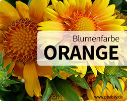 Orangene Blumen und Sträusse online bestellen