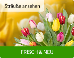 Neue Blumen