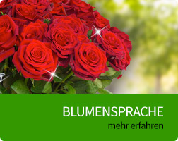 blumen_verschenken_online_lexikon_blumensprache