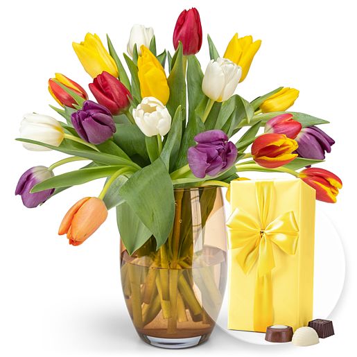 20 bunte Tulpen mit orangefarbener Tulpenvase und Belgische Pralinen