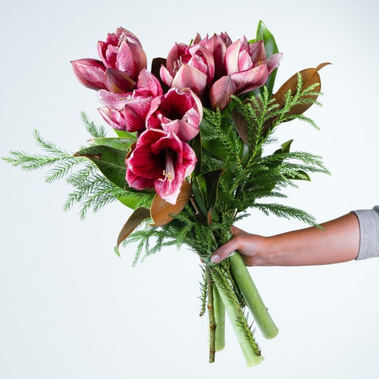 Herbstliche Schnittblumen Blumen verschicken Online Blumen bestellen