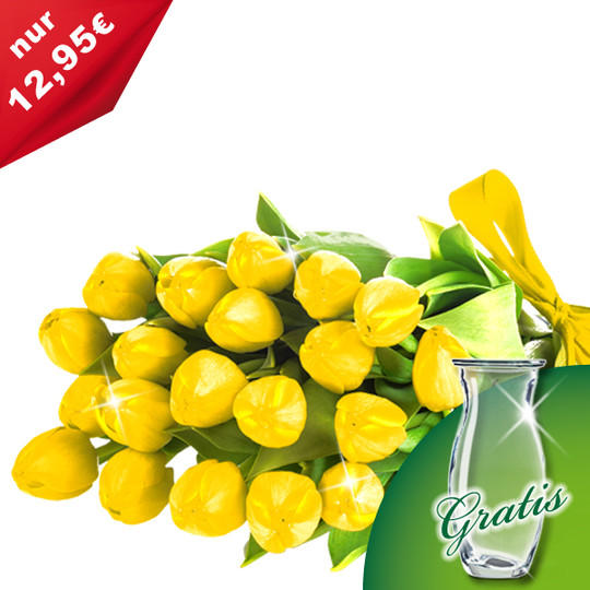 Tulpen Bestellen 1177 tulpen bestellen tulpen gef llt columbus pink Tulpen Bestellen 1177 tulpen bestellen tulpen gef llt columbus pink