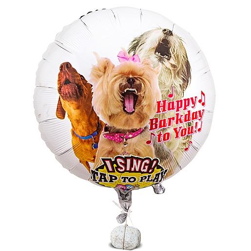 Ein tierischer Ballon der singt „Geburtstagsgrüße Dog“