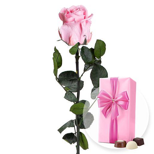 Infinity-Rose in Rosa mit Belgischen Pralinen