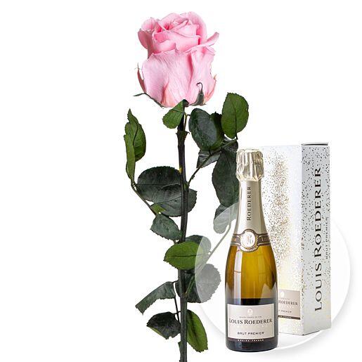 Infinity-Rose in Rosa mit Champagner Louis Roederer Brut Premier