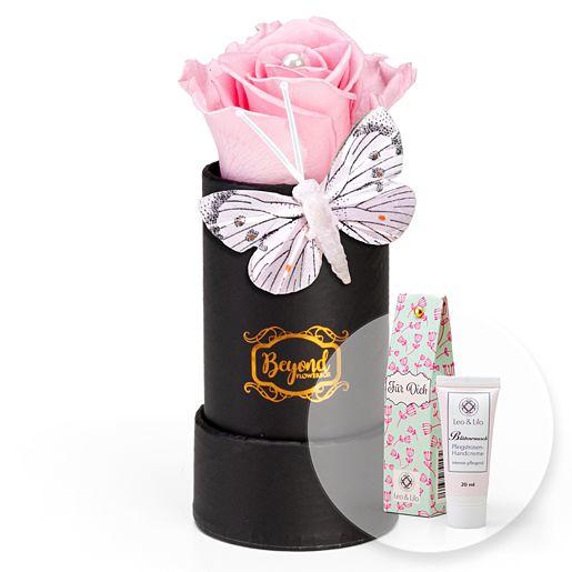 Infinity Rose in Box Butterfly mit Handcreme