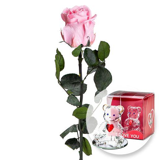 Infinity Rose in Rosa mit Glasbär mit Herz