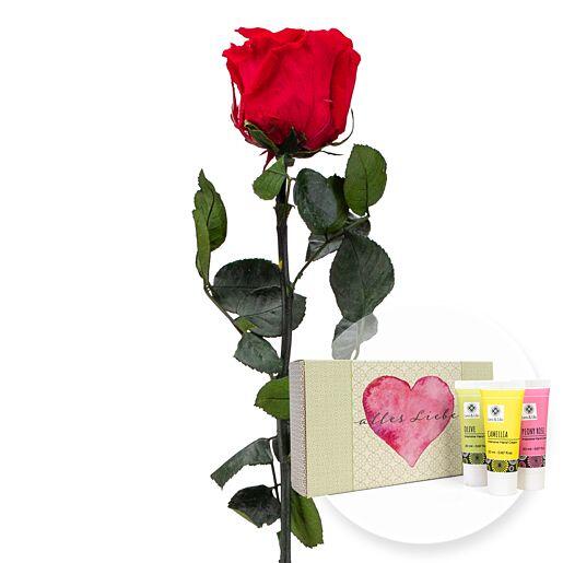 Langstielige Infinity-Rose in Rot mit Handpflegeset „Alles Liebe“