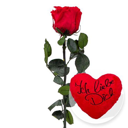 Langstielige Infinity-Rose in Rot mit Plüsch-Herz „Ich liebe Dich“