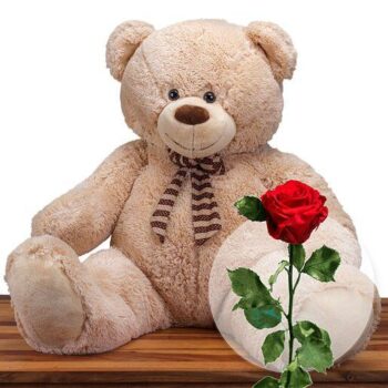 Riesen_Teddy_und_rote_InfinityRose