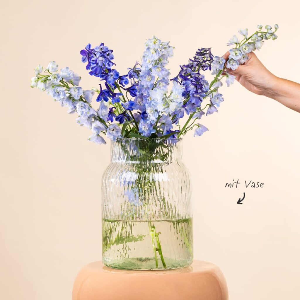 Ritterspornmix mit Lieblings-Vase L