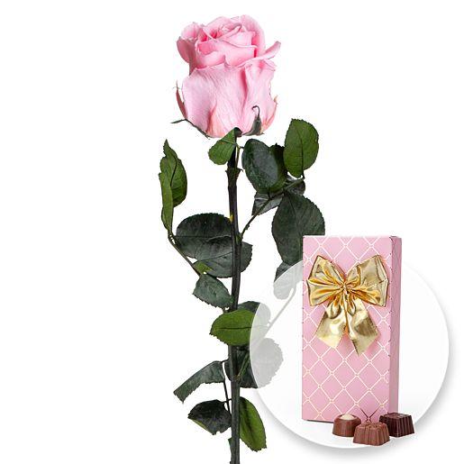 Rosa Infinity Rose mit belgischen Pralinen