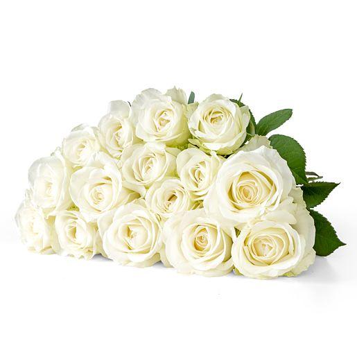 Rosenstrauß aus 15 weißen Fairtrade Rosen