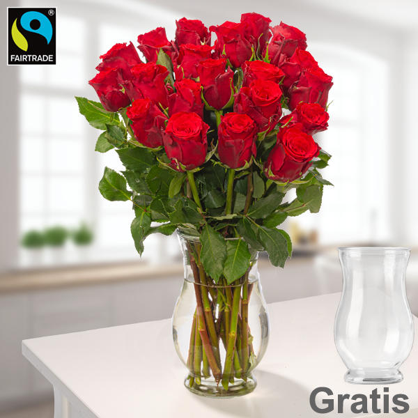 Rote FAIRTRADE-Rosen im Bund inkl. Vase