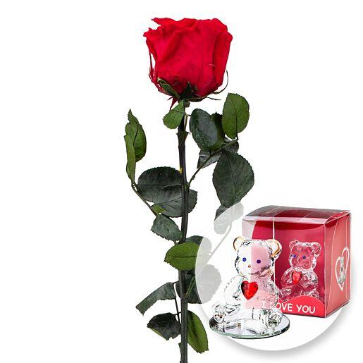 Rote Infinity Rose mit Glasbär