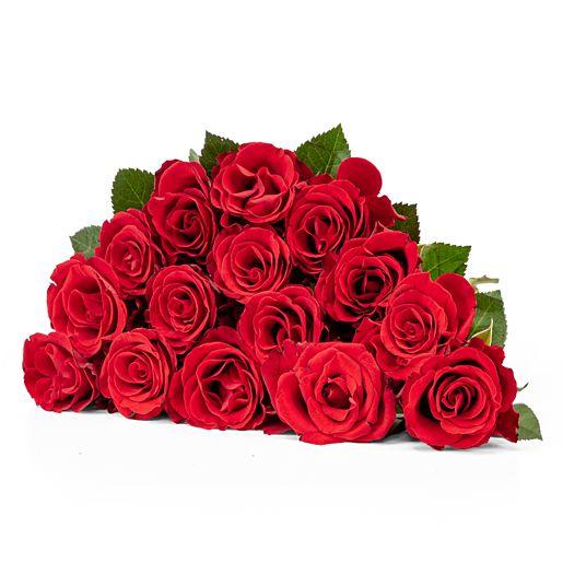 Strauß aus 15 roten Fairtrade-Rosen