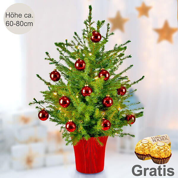 Weihnachtsbaum – Holiday – mit Lichterkette