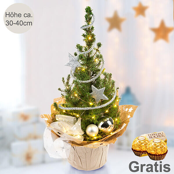 Weihnachtsbaum – Sternenglanz – inkl. Lichterkette