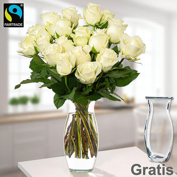 Weiße Fairtrade-Rosen im Bund inkl. Vase