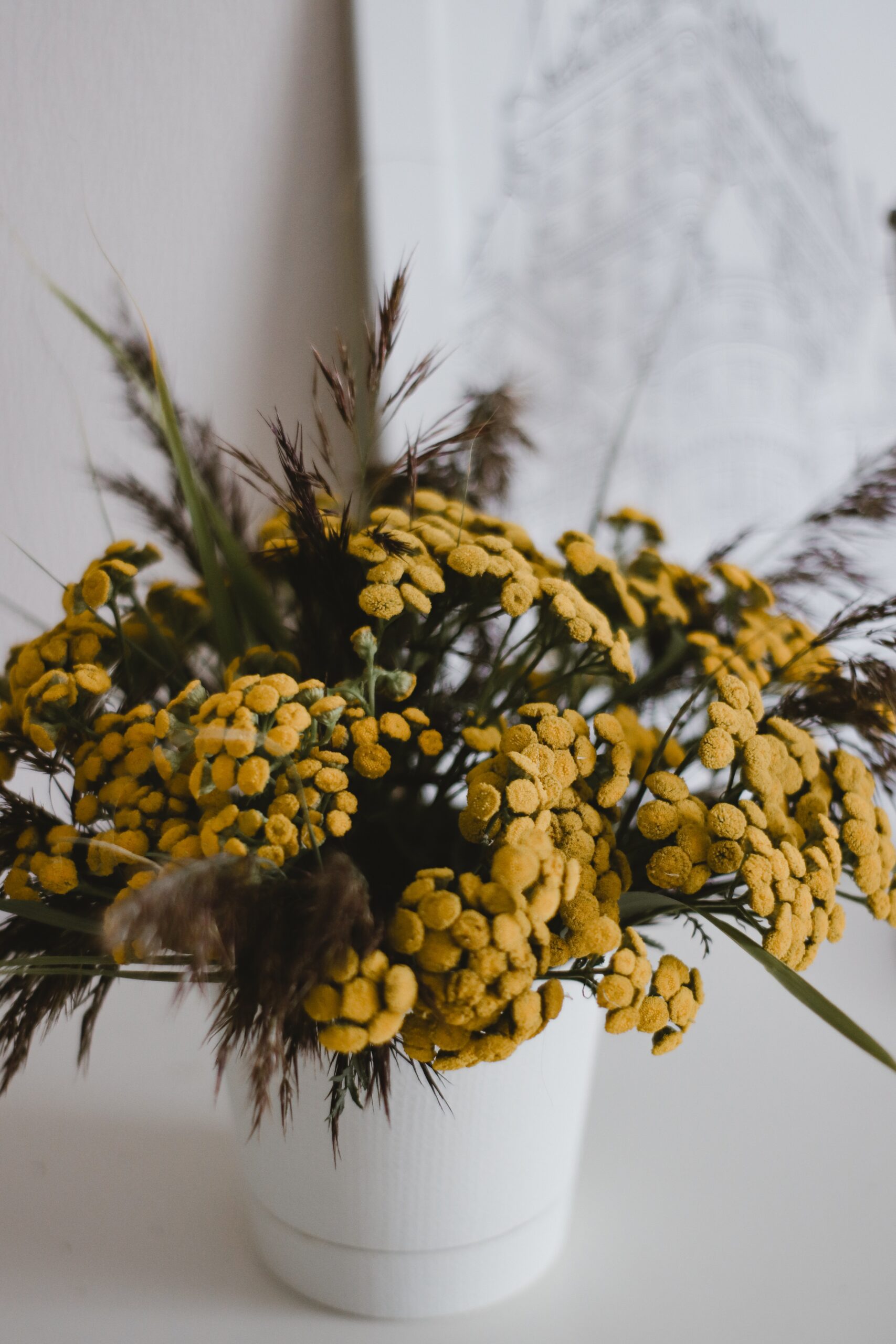 Schöne Blumen für den Spätsommer